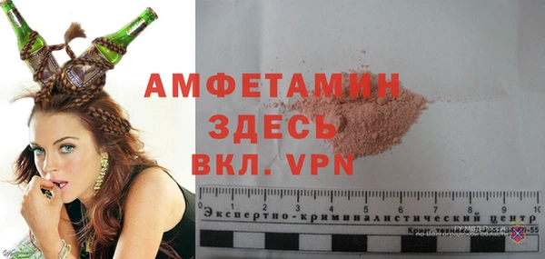 ПСИЛОЦИБИНОВЫЕ ГРИБЫ Богданович