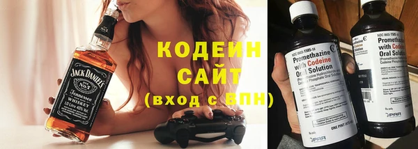 ПСИЛОЦИБИНОВЫЕ ГРИБЫ Богданович