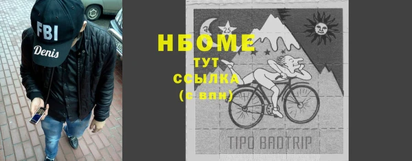 ПСИЛОЦИБИНОВЫЕ ГРИБЫ Богданович