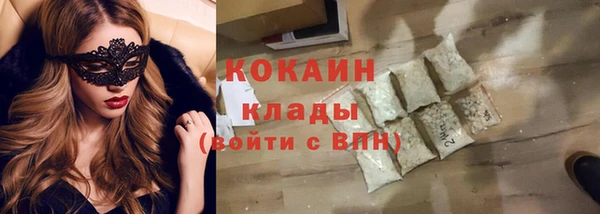 ПСИЛОЦИБИНОВЫЕ ГРИБЫ Богданович