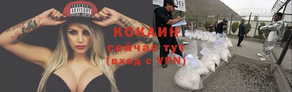 ПСИЛОЦИБИНОВЫЕ ГРИБЫ Богданович