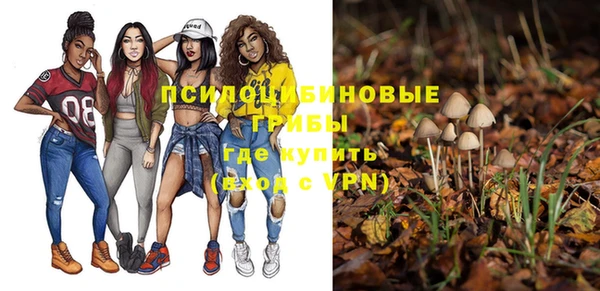 бутират Богородицк