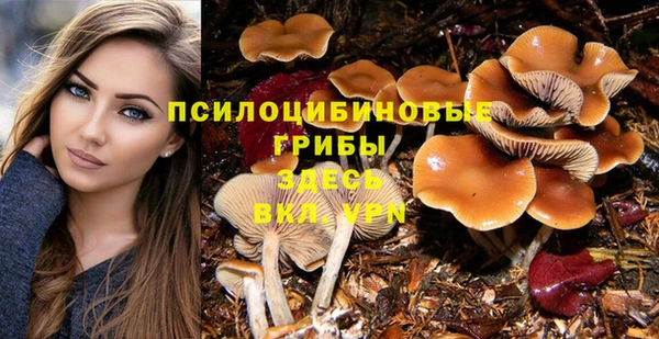 бутират Богородицк