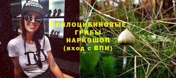 ПСИЛОЦИБИНОВЫЕ ГРИБЫ Богданович