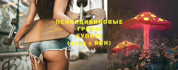 бутират Богородицк